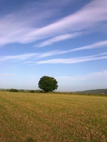 gallery/photo0204